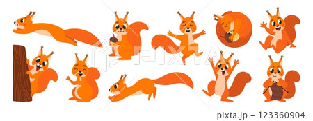 Funny squirrel. Cartoon squirrels jump, peeking from tree, knitting and sleeping. Cute wild forest animals in different poses. Childish mascots classy vector set Funny squirrel. Cartoon squirrels jump, peeking from tree, knitting and sleeping. Cute wild forest animals in different poses. Childish mascots classy vector set 123360904