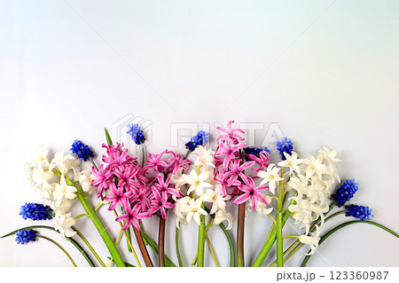 Abstract floral composition, beautiful spring flowers hyacinth and muscari on light background, banner, still life with place for text, floral holiday card, summer greeting concept, selective focus 123360987
