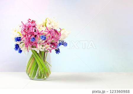 Beautiful spring flowers hyacinths and muscari in vase on light background, banner,Abstract floral arrangement, still life with space for text, floral holiday card, summer greeting concept, selective 123360988