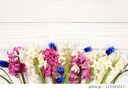 Beautiful spring flowers hyacinths and muscari on light background, banner,Abstract floral composition, still life with space for text, floral holiday card, summer greeting concept, selective focus Beautiful spring flowers hyacinths and muscari on light background, banner,Abstract floral composition, still life with space for text, floral holiday card, summer greeting concept, selective focus 123361017