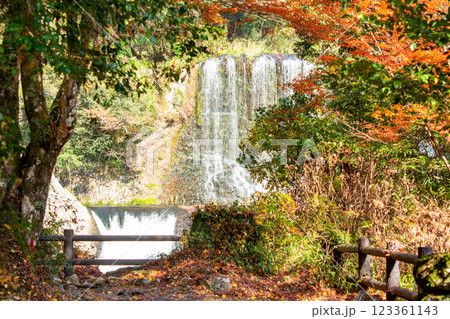 龍門の滝と紅葉 龍門の滝と紅葉 123361143