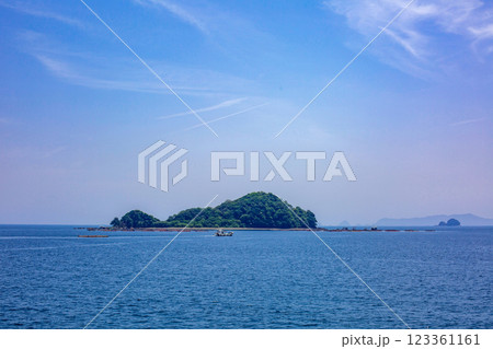 大入島と佐伯湾 123361161