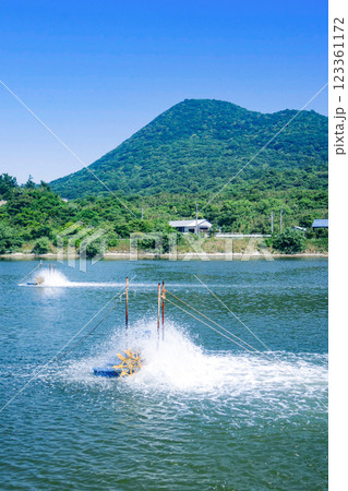 車えび養殖場 123361172