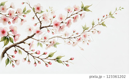 繊細に描かれた桜の枝―優雅で美しい春の風景 123361202