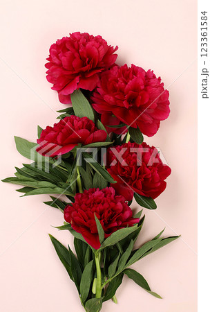 Beautiful bouquet of peonies on a light background with a place for text, flower arrangement and summer banner, greeting card for wedding, birthday, template for design, selective focus Beautiful bouquet of peonies on a light background with a place for text, flower arrangement and summer banner, greeting card for wedding, birthday, template for design, selective focus 123361584