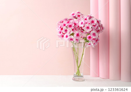Home interior with decor elements, beautiful phlox flowers in a vase on a light background, abstract flower composition, still life with place for text, floral card for birthday, wedding, selective Home interior with decor elements, beautiful phlox flowers in a vase on a light background, abstract flower composition, still life with place for text, floral card for birthday, wedding, selective 123361624