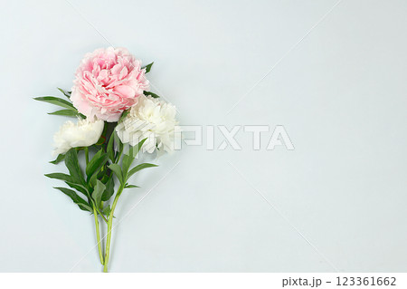 Abstract peonies flower composition on light background with place for text, summer banner for advertising, minimal holiday concept with flowers, greeting card for wedding, birthday, mother's day, 123361662