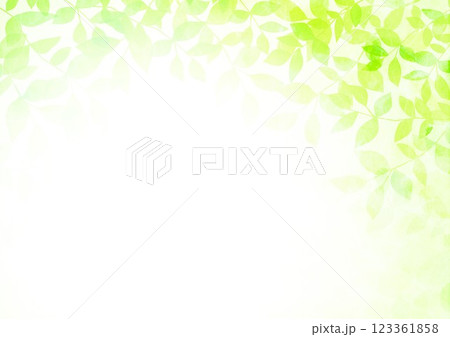新緑の葉が茂る 新緑の葉が茂る 123361858