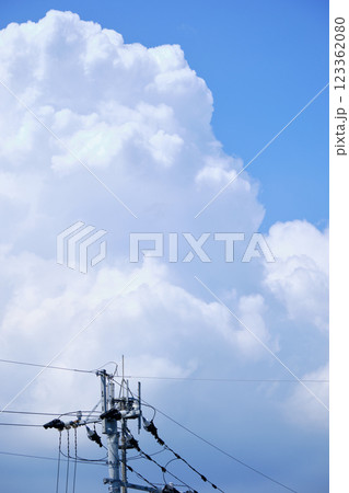 電信柱の見える夏の空 123362080
