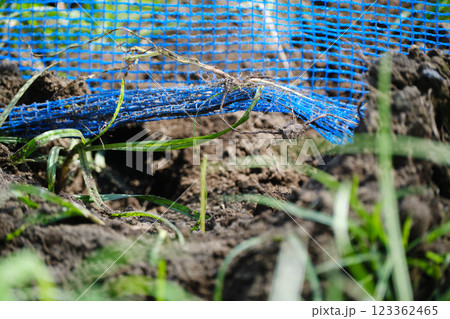 畑で動物が侵入した穴 123362465