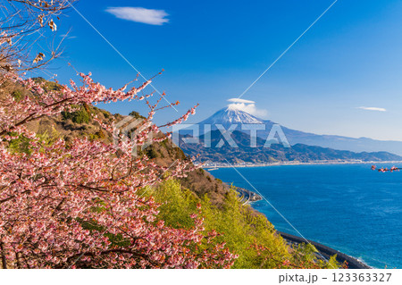 【静岡県】河津桜咲く、薩埵峠（さったとうげ）から見る富士山 123363327