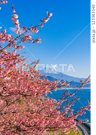 【静岡県】河津桜咲く、薩埵峠(さったとうげ)から見る富士山 【静岡県】河津桜咲く、薩埵峠(さったとうげ)から見る富士山 123363340