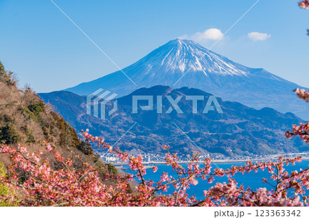 【静岡県】河津桜咲く、薩埵峠(さったとうげ)から見る富士山 【静岡県】河津桜咲く、薩埵峠(さったとうげ)から見る富士山 123363342