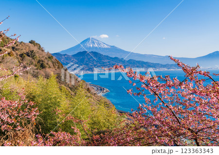 【静岡県】河津桜咲く、薩埵峠(さったとうげ)から見る富士山 【静岡県】河津桜咲く、薩埵峠(さったとうげ)から見る富士山 123363343
