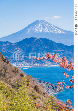 【静岡県】河津桜咲く、薩埵峠（さったとうげ）から見る富士山 123363349