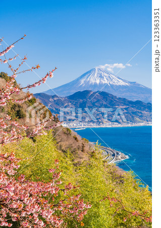 【静岡県】河津桜咲く、薩埵峠（さったとうげ）から見る富士山 123363351