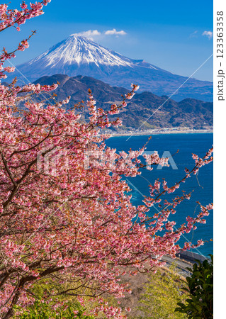 【静岡県】河津桜咲く、薩埵峠（さったとうげ）から見る富士山 123363358