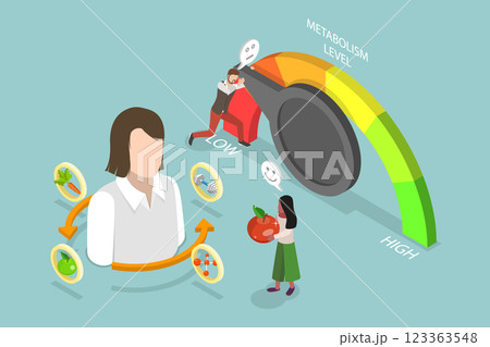 3D Isometric Flat Vector Illustration of Human Organism Metabolism Level, Food Consumption Speed 123363548