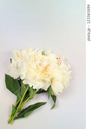 Abstract floral arrangement, flat lay, bouquet of beautiful peonies on an elegant background, spring and summer banner. Creative modern bouquet. Mother's Day card, happy birthday, wedding, holiday 123363894