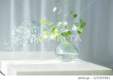 ガラス花瓶に入ったユーカリの枝 123363961