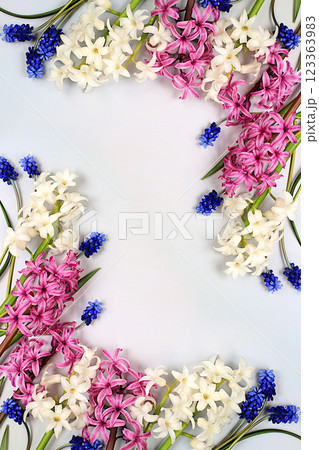 Beautiful spring flowers hyacinths and muscari on a light background, flyer.Abstract floral composition, still life with space for text, floral holiday card, summer greeting concept, selective focus Beautiful spring flowers hyacinths and muscari on a light background, flyer.Abstract floral composition, still life with space for text, floral holiday card, summer greeting concept, selective focus 123363983