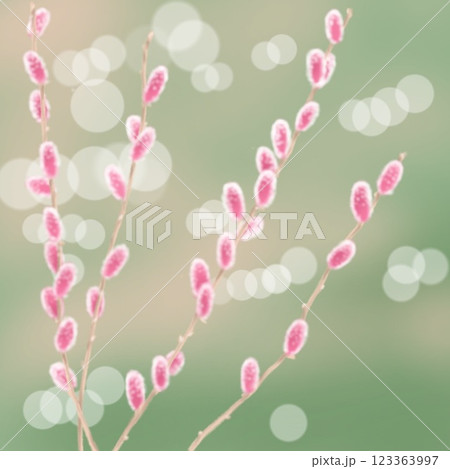 猫柳と水面 123363997