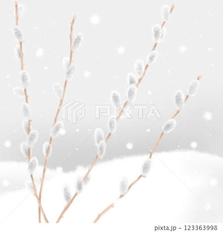 猫柳と雪景色 123363998