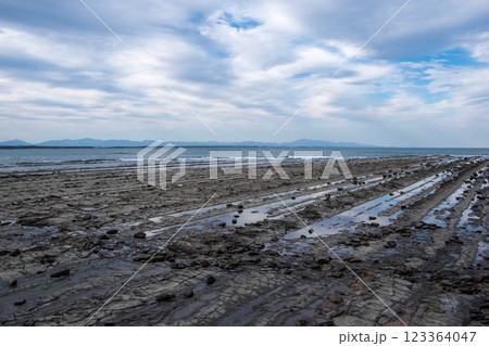 青島の鬼の洗濯板 青島の鬼の洗濯板 123364047