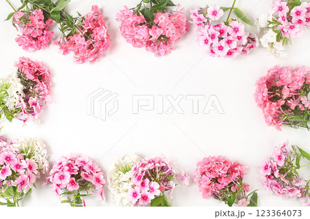 Abstract floral composition. frame of beautiful phlox flowers on a light background with a place for text, still life and floral card for birthday, wedding, holiday concept with flowers, selective 123364073