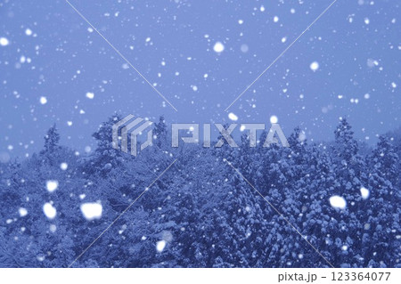 雪降る日 123364077