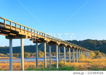 【静岡県】夕日を浴びる蓬萊橋 【静岡県】夕日を浴びる蓬萊橋 123364326