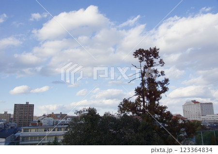 倉敷の風景　阿智神社　鶴形山 123364834