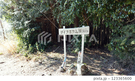 ダイラボウ 山頂 ダイラボウ 山頂 123365600