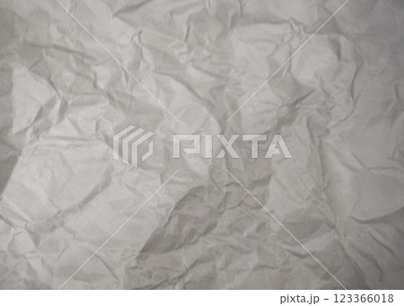 しわくちゃな紙のテクスチャ しわくちゃな紙のテクスチャ 123366018