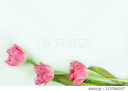 Holiday concept with flowers, abstract spring or summer composition, still life, banner. Greeting card for mothers day, womens day, lovers day, happy birthday, wedding, selective focus, gift for loved Holiday concept with flowers, abstract spring or summer composition, still life, banner. Greeting card for mothers day, womens day, lovers day, happy birthday, wedding, selective focus, gift for loved 123366207