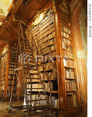 ヨーロッパの歴史的な大図書館とはしご 123366218