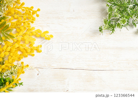 ボタニカルフレーム｜ミモザとグリーン 123366544