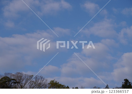 空と木々 空と木々 123366557