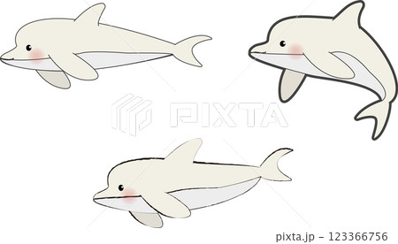 かわいい白イルカの挿絵イラスト集 123366756