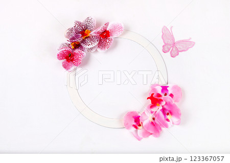 Spring or summer flower composition, still life, banner, minimal holiday concept, delicate orchid flowers flat lay. Greeting card for mothers day, womens day, lovers day, happy birthday, wedding, Spring or summer flower composition, still life, banner, minimal holiday concept, delicate orchid flowers flat lay. Greeting card for mothers day, womens day, lovers day, happy birthday, wedding, 123367057