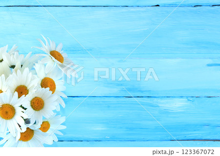 Abstract flower arrangement, still life with a bouquet of daisies, spring banner, minimal holiday concept. Greeting card for mother's day, women's day, valentine's day, happy birthday, wedding, 123367072