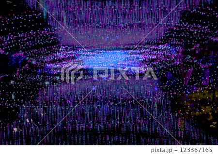 ライトアップされたイルミネーション 123367165