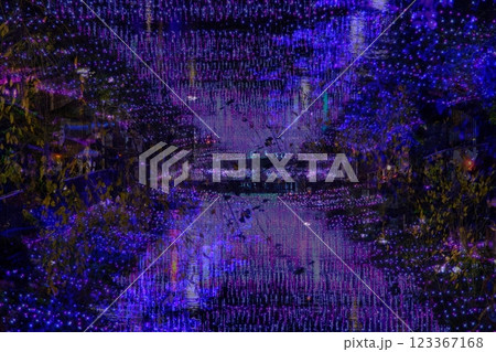 ライトアップされたイルミネーション 123367168