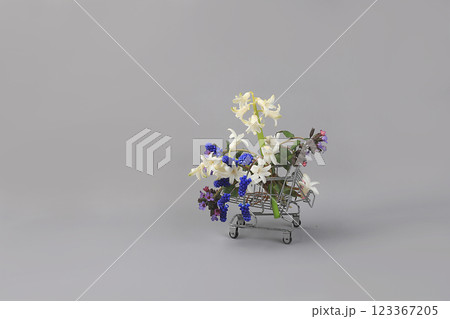 Muscari and hyacinth flowers in a basket.Abstract floral arrangement, background, minimal holiday concept, flower delivery, spring banner.Mothers day card, happy birthday, wedding, place for text, 123367205