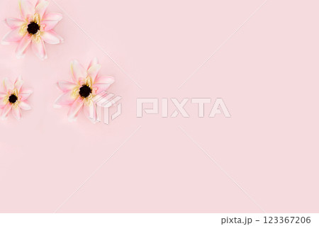 Abstract flower arrangement, spring background. Lotus flower on pink background, minimal holiday concept. Postcard for womens day, mothers day, happy birthday, wedding, banner for screen, selective 123367206