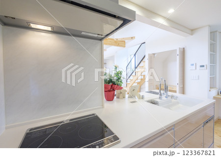 新築住宅のキッチン 新築住宅のキッチン 123367821