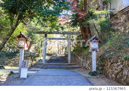 唐沢山神社鳥居 123367965