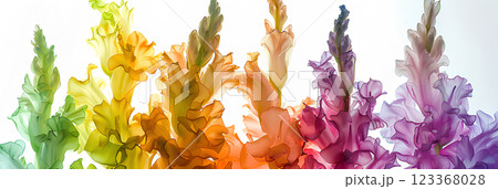 カラフルなヒヤシンスのテクスチャー カラフルなヒヤシンスのテクスチャー 123368028