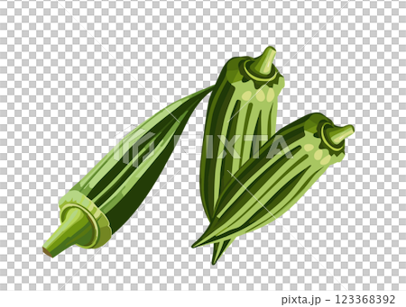 Realistic illustration material set of okra (3 pieces, AI generated, transparent PNG) 123368392