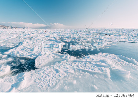 砕氷船から見る流氷 123368464